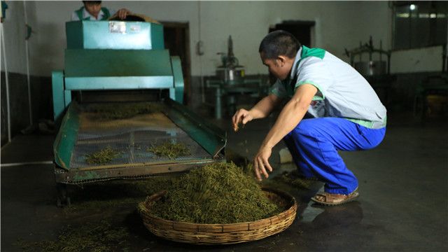 有关于一周速读：“安铁一号”首轨数据、多地春茶即将开采、各地需求采茶工人的内容(3)