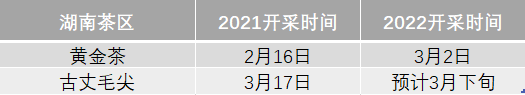 关于2022年春茶什么时候上市？绿茶主产区采摘时间汇总的相关信息(10)