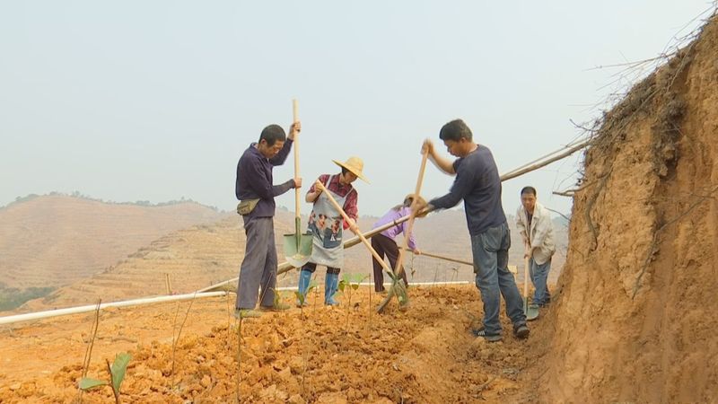 有关于万秀区：力争实现茶园建设一季度“开门红”的信息(3)