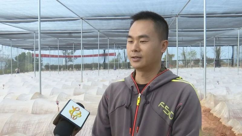 有关于万秀区：力争实现茶园建设一季度“开门红”的信息(1)
