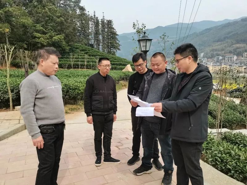 有关于春茶季来临，政和县茶叶质量安全管控在行动！的资讯(3)