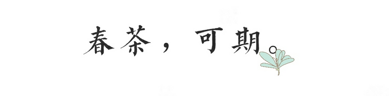 关于“2022金奖惠明茶开采节暨采茶能手”比赛活动将于3月7日举行的相关信息(7)