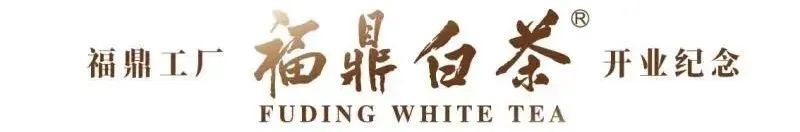 有关于设厂进驻福鼎白茶核心产区！这家头部茶企最新战略布局曝光？的资讯(6)