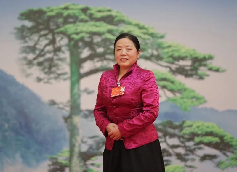 关于储小芹代表建议：支持富硒茶产业，引导茶产业向功能农业方向发展的信息(2)