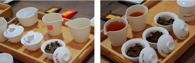 关于当空姐邂逅福安好茶，会碰撞出怎样不同色彩？的最新消息(5)