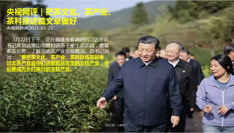 关于茶产业在乡村振兴中的作用与实现路径的信息(2)
