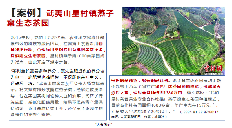 关于茶产业在乡村振兴中的作用与实现路径的信息(9)