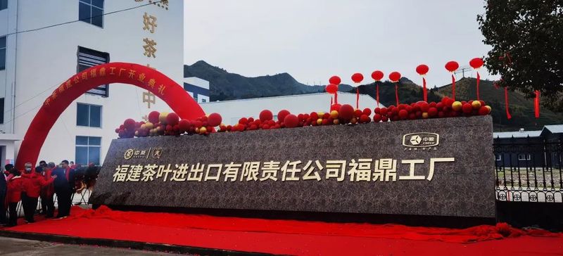 有关于与白茶发展同频！这家引领白茶消费市场的老牌茶企，正在开创新故事！的内容