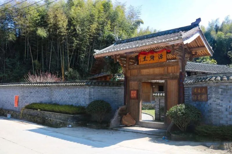 关于大力发展湖林村茶产业，助力乡村振兴的相关内容(4)