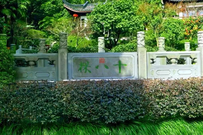 关于直击西湖龙井“天花板”,与乾隆来一场30米距离的对话!的资讯