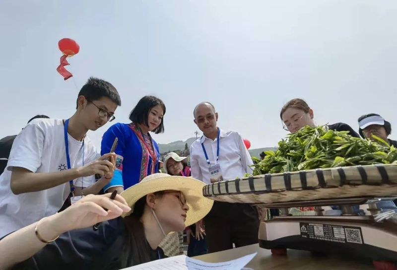 关于今年茶叶市场将面临“挤压式”竞争——贵州省春茶产销分析会提醒企业早谋划，早准备的相关内容(3)