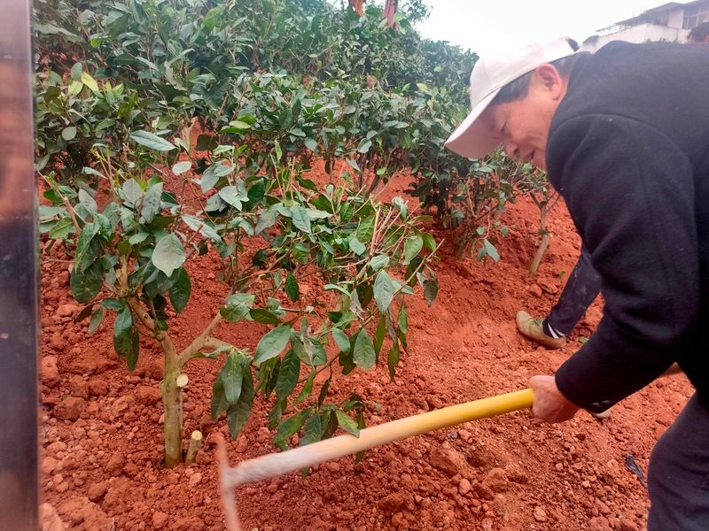 有关于茶文化公园蒙顶山茶园落成，四川“茶文化窗口”名不虚传的相关内容(8)