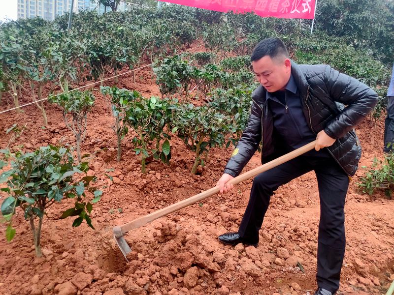 有关于茶文化公园蒙顶山茶园落成，四川“茶文化窗口”名不虚传的相关内容(9)