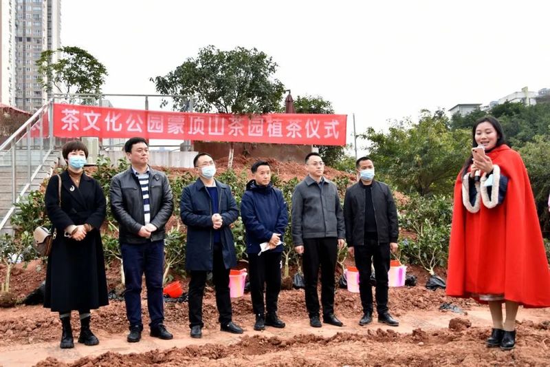 有关于茶文化公园蒙顶山茶园落成，四川“茶文化窗口”名不虚传的相关内容(4)