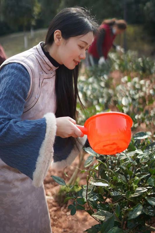 有关于茶文化公园蒙顶山茶园落成，四川“茶文化窗口”名不虚传的相关内容(5)