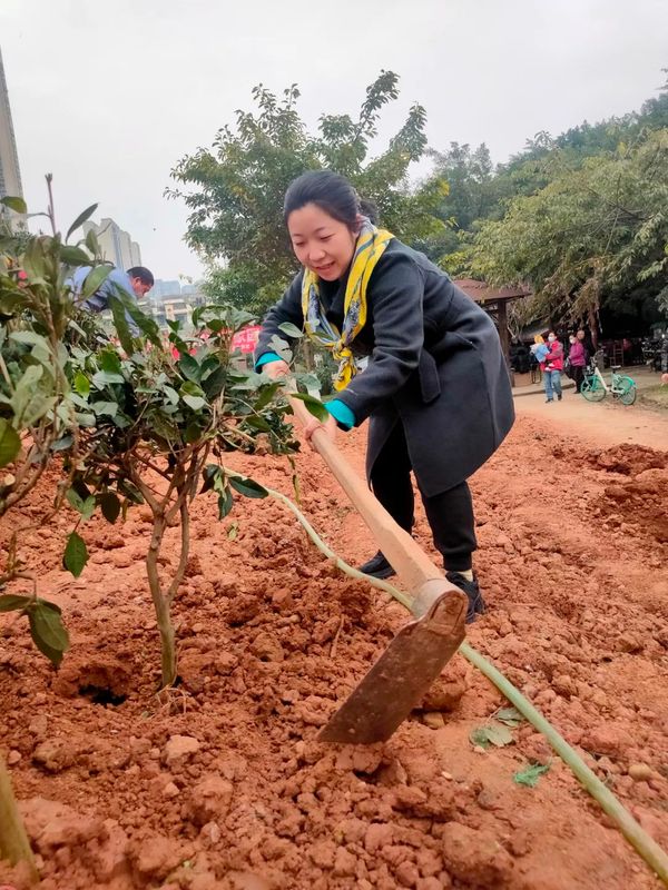 有关于茶文化公园蒙顶山茶园落成，四川“茶文化窗口”名不虚传的相关内容(10)