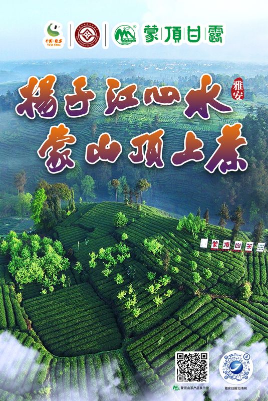 关于打响蒙顶甘露品牌 高铁冠名列车启程的信息(2)