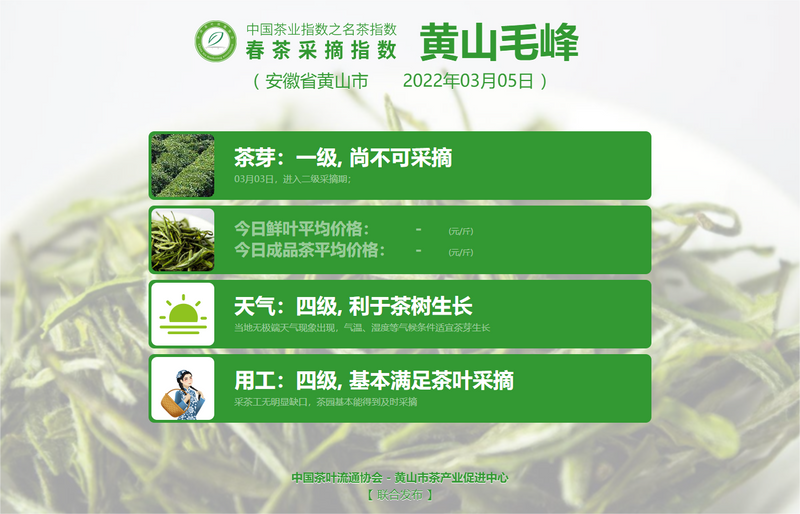 关于2022春茶采摘指数，春之伊始，如期而至！的信息(5)