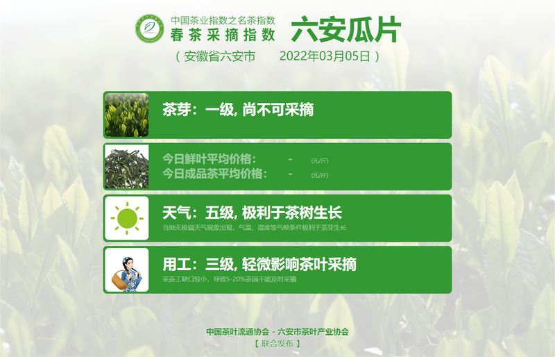 关于2022春茶采摘指数，春之伊始，如期而至！的信息(7)