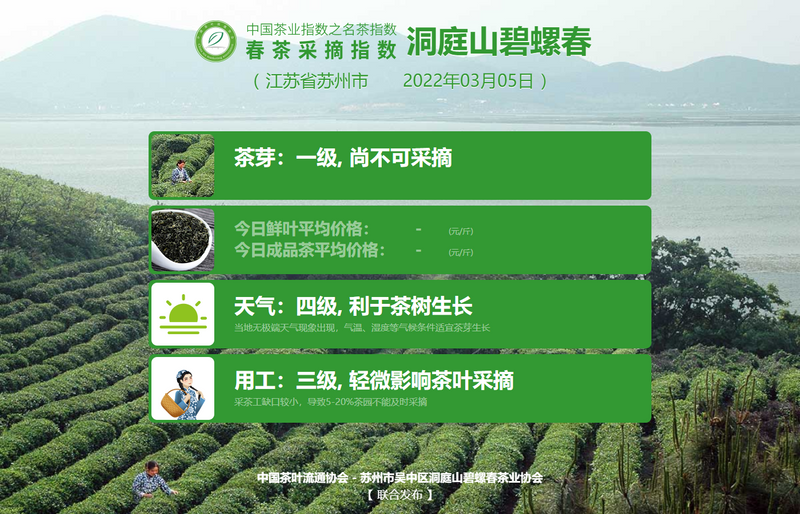 关于2022春茶采摘指数，春之伊始，如期而至！的信息(4)