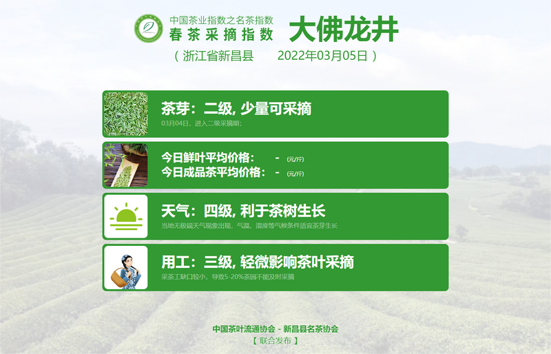 关于2022春茶采摘指数，春之伊始，如期而至！的信息(1)
