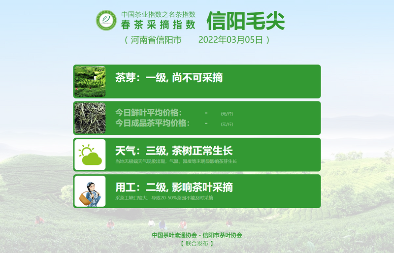 关于2022春茶采摘指数，春之伊始，如期而至！的信息(6)