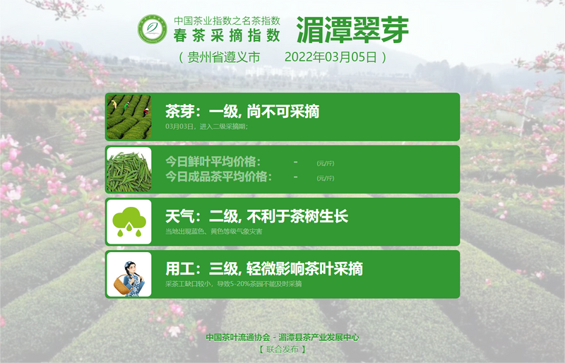 关于2022春茶采摘指数，春之伊始，如期而至！的信息(2)