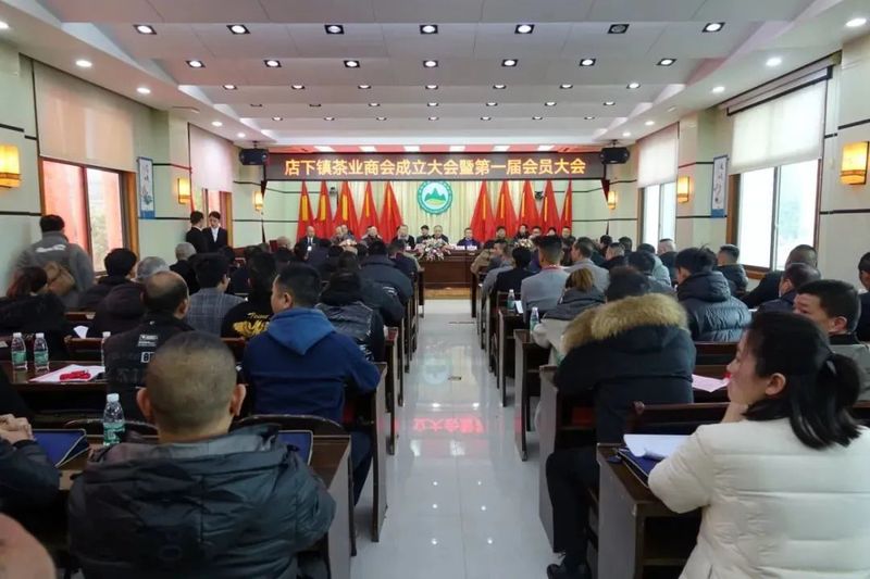 有关于福鼎市店下镇茶业商会成立，促进茶产业高质量发展的相关内容