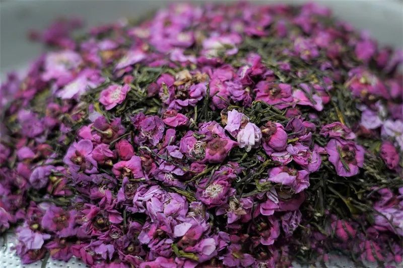 有关于梅花也能入茶？40多个小时将梅香窨入南京雨花茶的资讯(1)