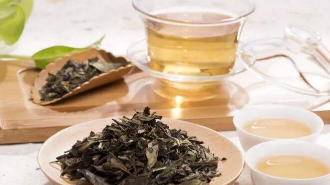 白茶是凉性还是热性