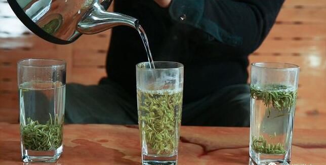 有关于一叶一春!铜梁“明前茶”开采啦!的新闻(5)