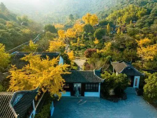 关于江苏苏州：洞庭山碧螺春“双非遗”农文旅融合体验精品路线的内容(4)
