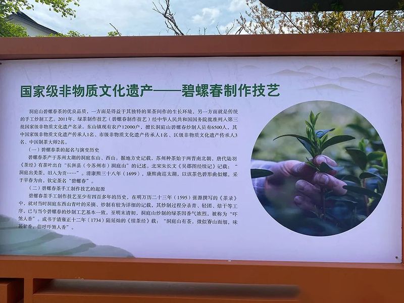 关于江苏苏州：洞庭山碧螺春“双非遗”农文旅融合体验精品路线的内容(6)