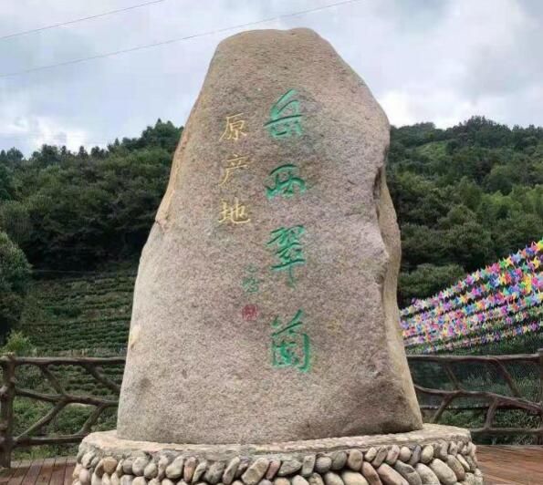 关于中国石化携手本来生活共同助力安徽岳西县茶产业升级的相关内容