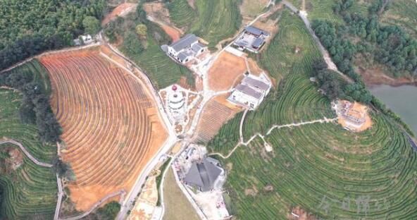 关于绵竹天气回暖,春茶采摘正当时的相关信息