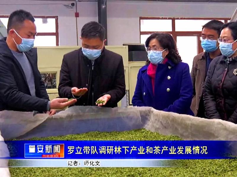 关于罗立带队调研林下产业和茶产业发展情况的资讯