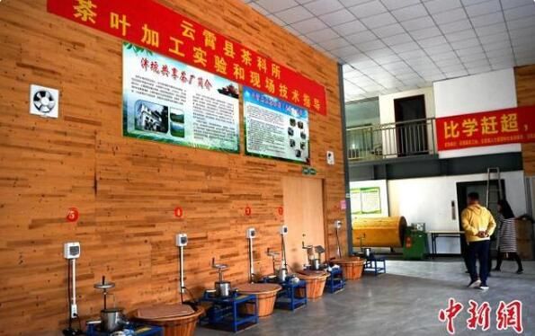 关于“共享茶厂”让600年老茶村焕发新魅力的相关内容(1)