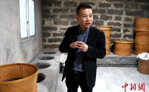 关于“共享茶厂”让600年老茶村焕发新魅力的相关内容(3)