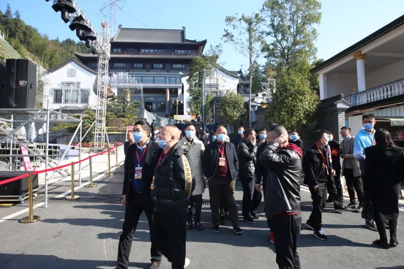 有关于在茶园中打造乡村振兴高地——理想华莱乡村振兴示范基地叶子茶园的消息(13)