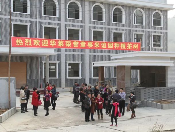 有关于在茶园中打造乡村振兴高地——理想华莱乡村振兴示范基地叶子茶园的消息(6)