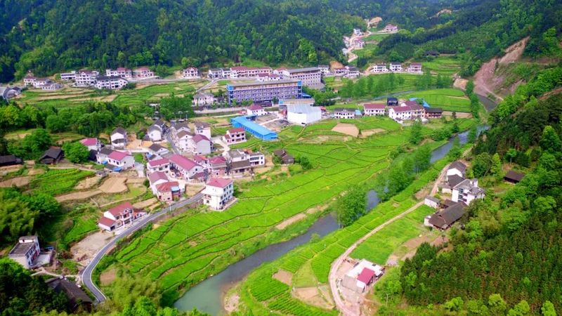 有关于在茶园中打造乡村振兴高地——理想华莱乡村振兴示范基地叶子茶园的消息(15)