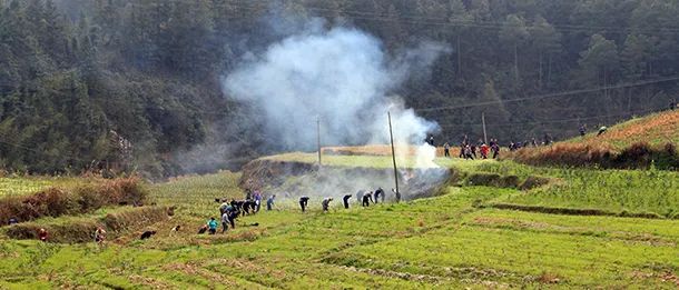 有关于在茶园中打造乡村振兴高地——理想华莱乡村振兴示范基地叶子茶园的消息(7)