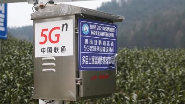 有关于思南：5G智慧茶园助力春茶管护的相关内容(1)