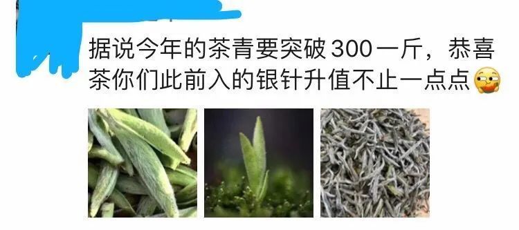 关于听说今年白毫银针的出厂价将上涨500以上？的消息(1)