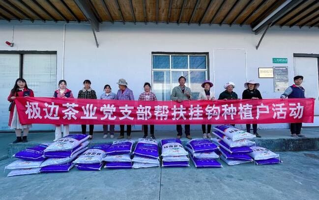 有关于腾冲马站乡：春茶铺就发展路，支部引领茶农富的最新消息