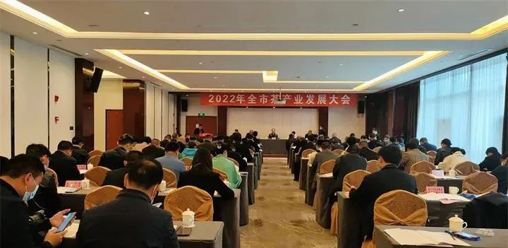 有关于助推茶产业高质量发展!安顺市茶产业发展大会在关岭召开的消息(1)