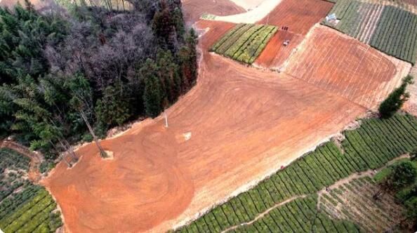 有关于鹤峰县：8万亩老茶园改造正有序推进的相关信息