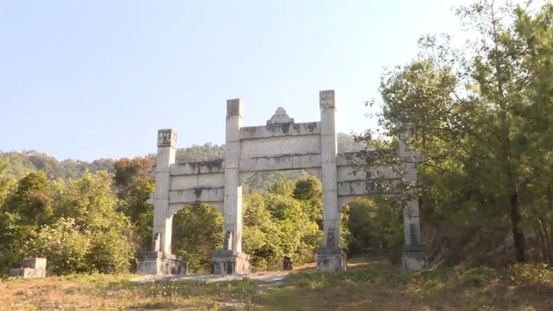 有关于宁洱县茶庵塘“头春茶”开采 打好生态牌走稳有机路的信息(7)