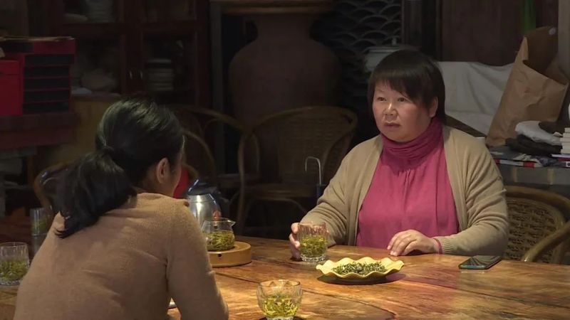 有关于宁洱县茶庵塘“头春茶”开采 打好生态牌走稳有机路的信息(5)