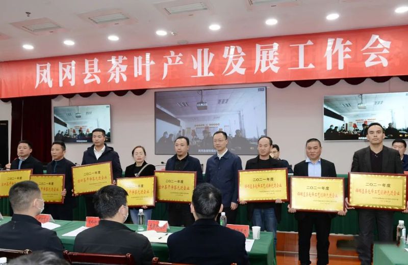 关于打造世界锌硒茶生产基地！凤冈县召开茶产业发展工作会的相关内容(3)